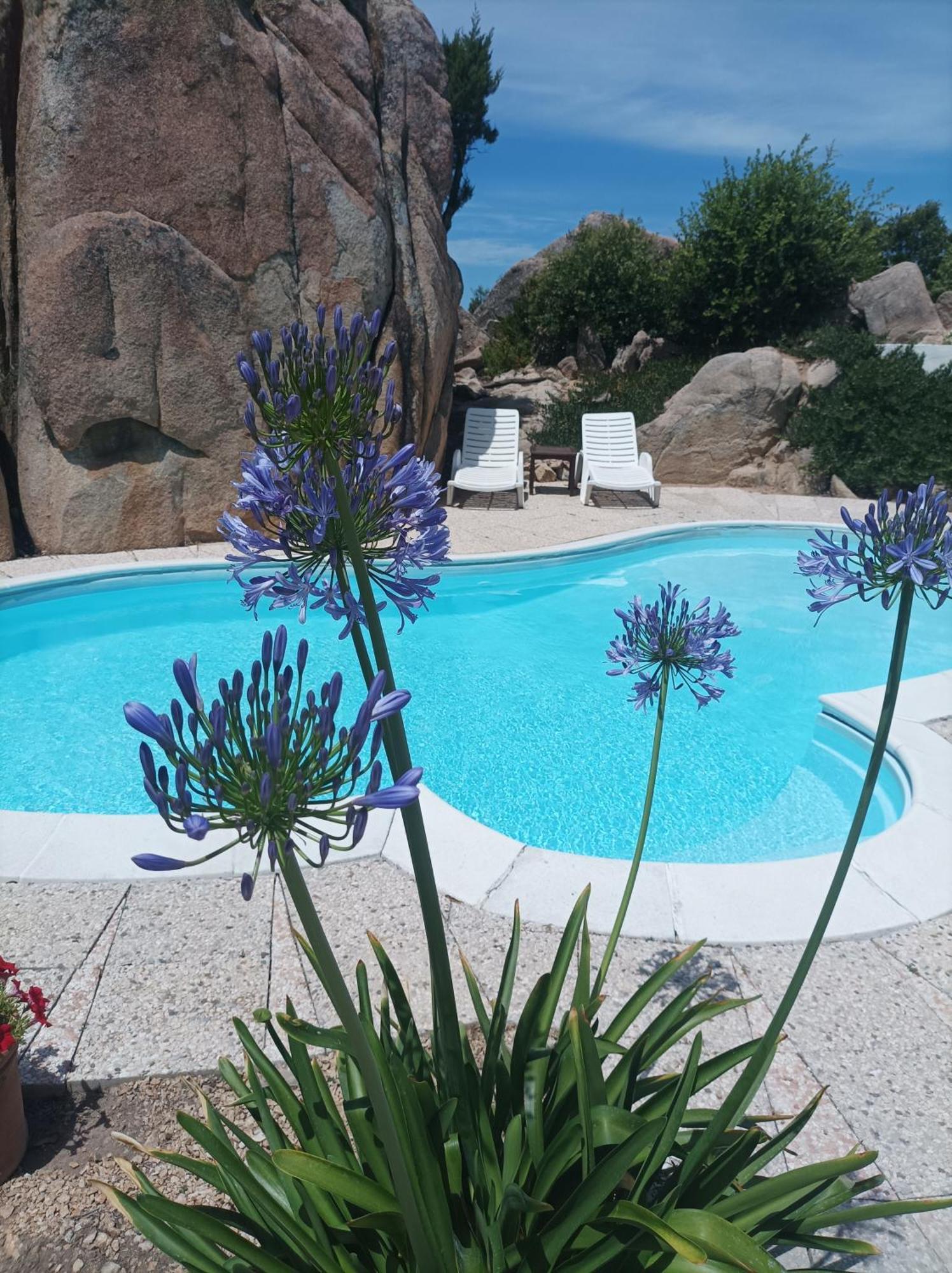 رينا ماجور Villa Majore Beb Con Piscina Privata المظهر الخارجي الصورة